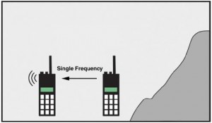 simplex pic